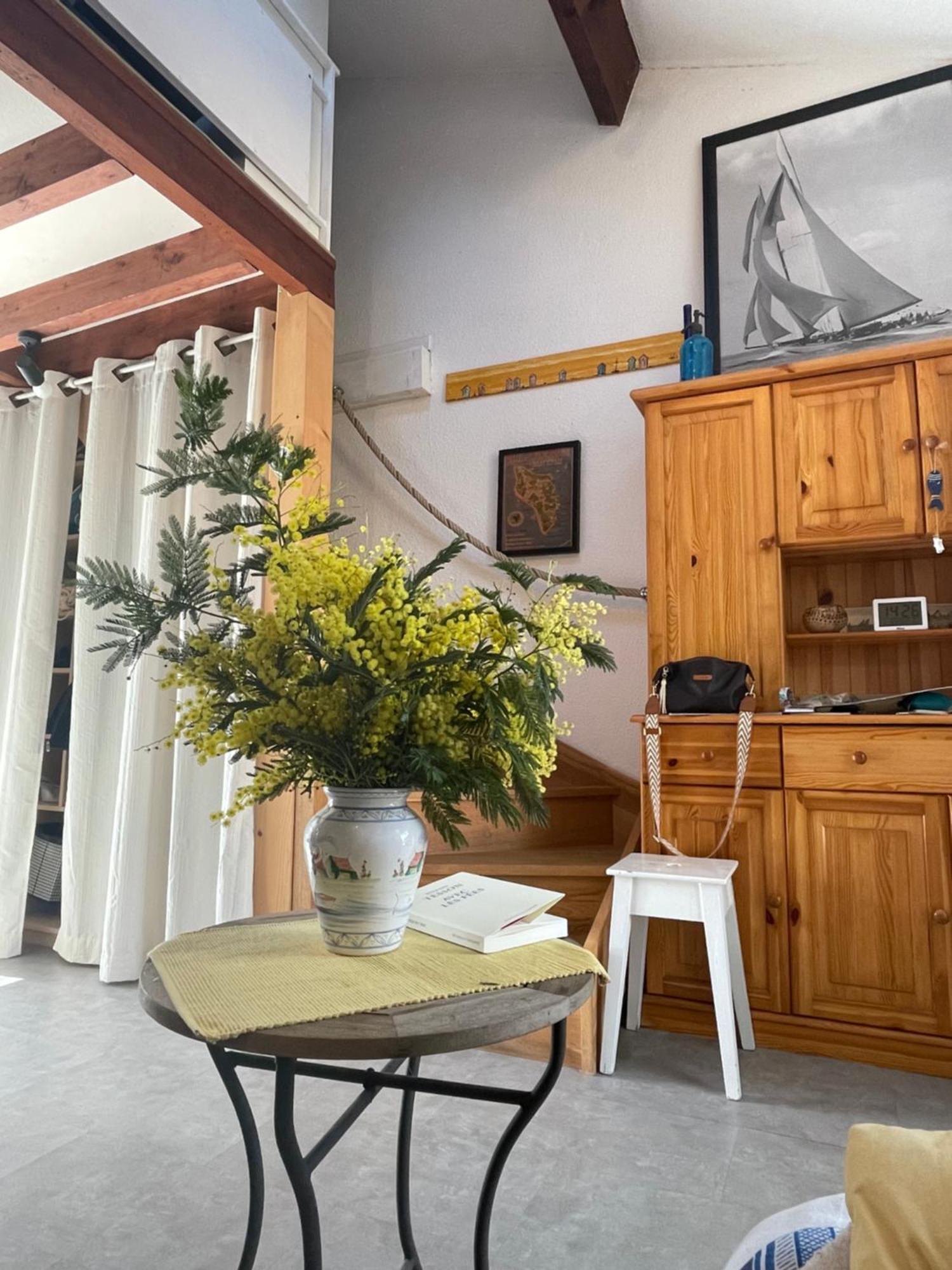 Les Mimosas Villa แซ็ง-โทรจง-เลส์-แบ็งส์ ภายนอก รูปภาพ